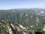 青山