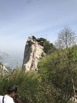青山