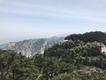 青山