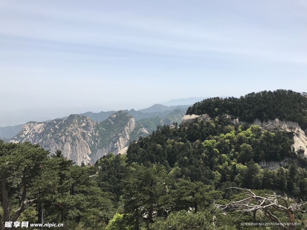 青山