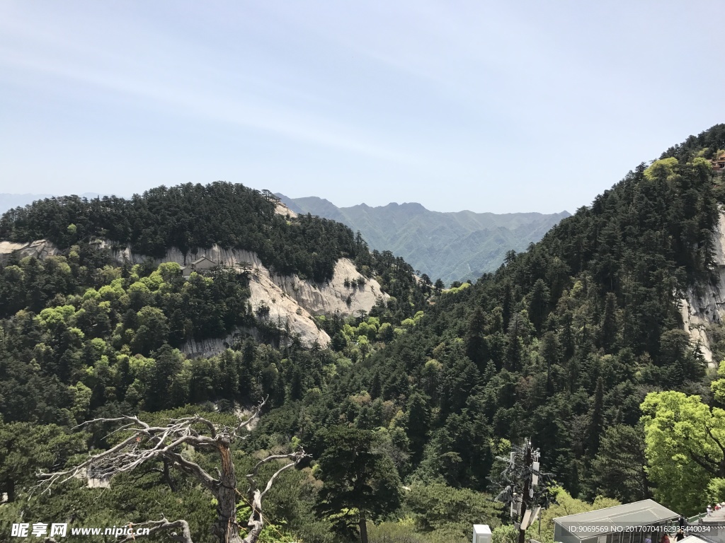 青山