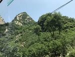 山
