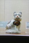 花猫