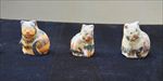 蚕猫