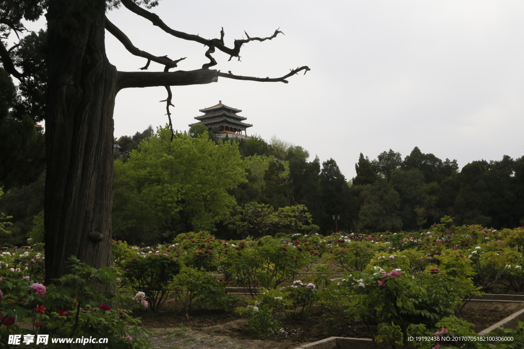 景山风景