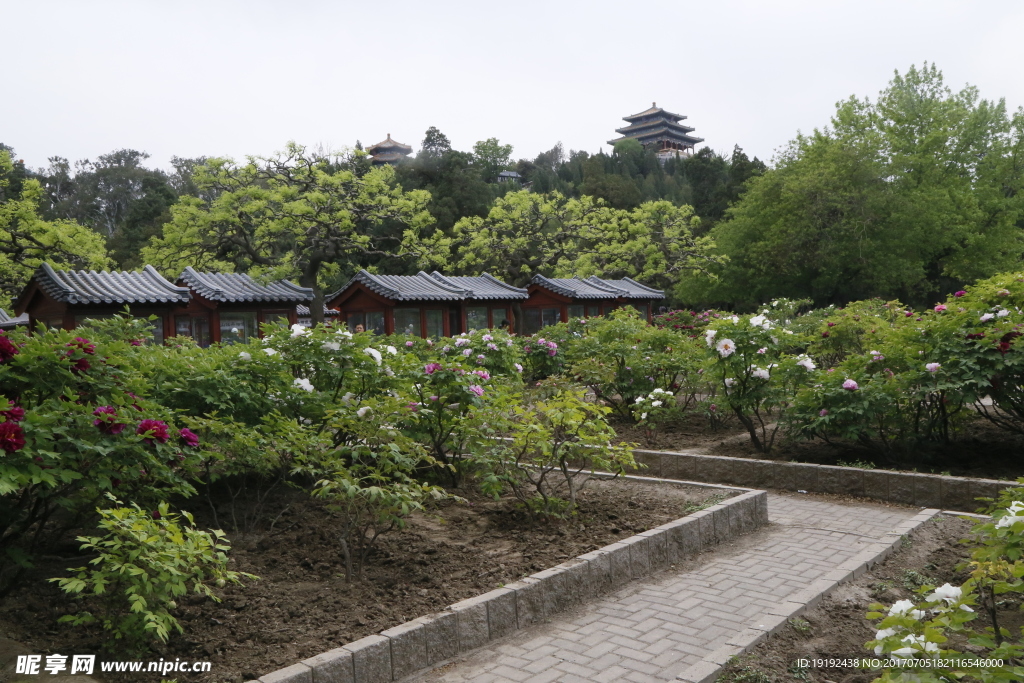 景山风景