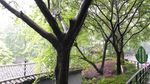 渣滓洞