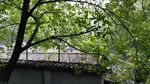 渣滓洞