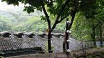 渣滓洞