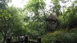 渣滓洞