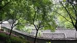 渣滓洞