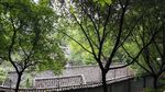 渣滓洞