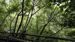 渣滓洞