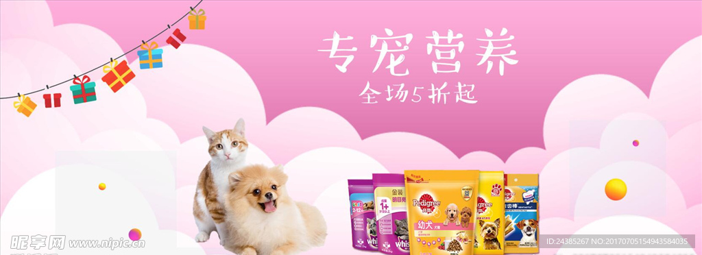 宠物banner海报