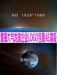 震撼大气地球企业LOGO包装