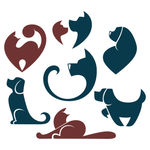 猫和狗