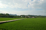 田园风光
