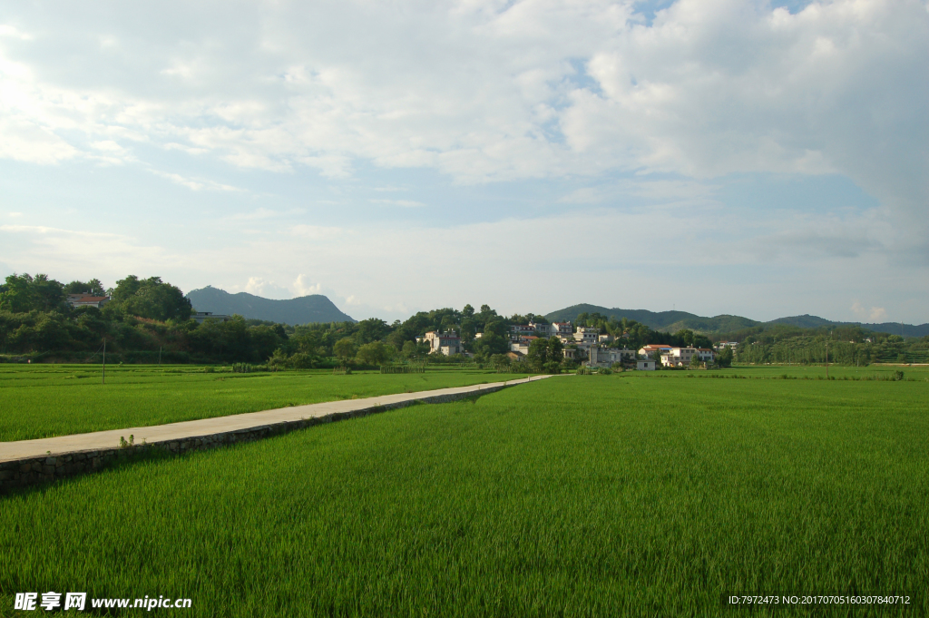 田园风光