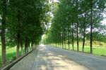 乡村道路