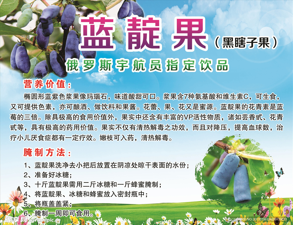 蓝靛果