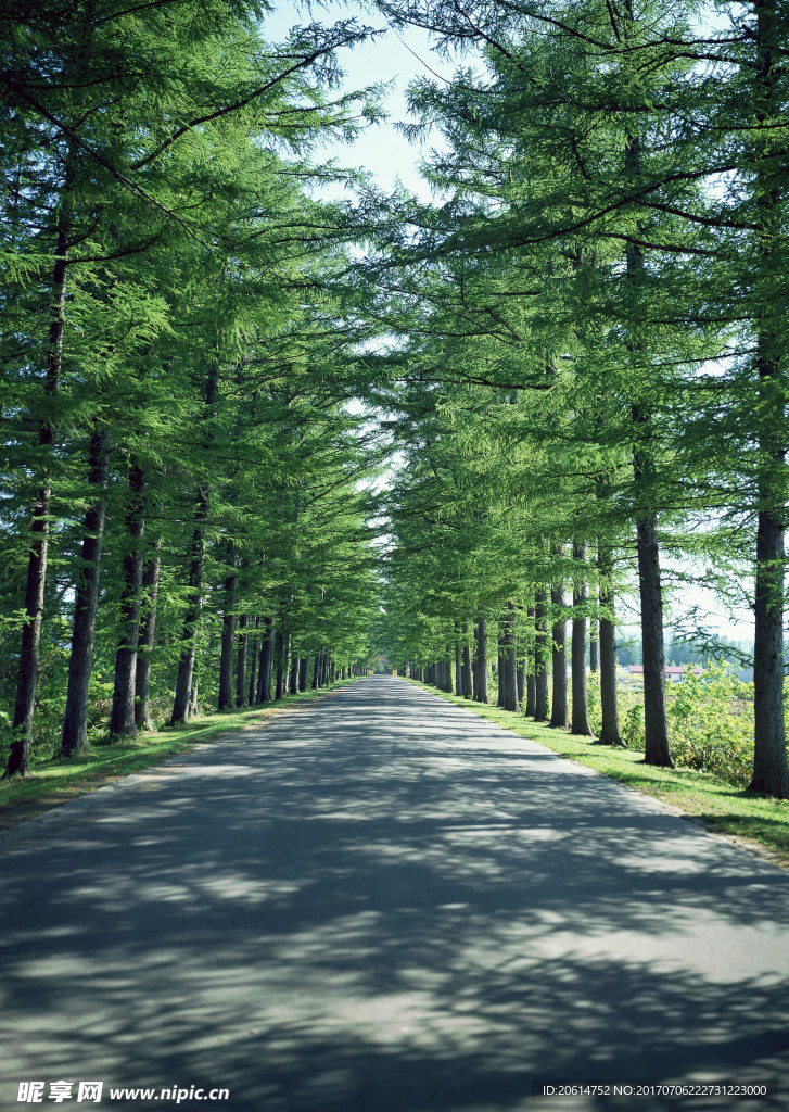 户外公路美景