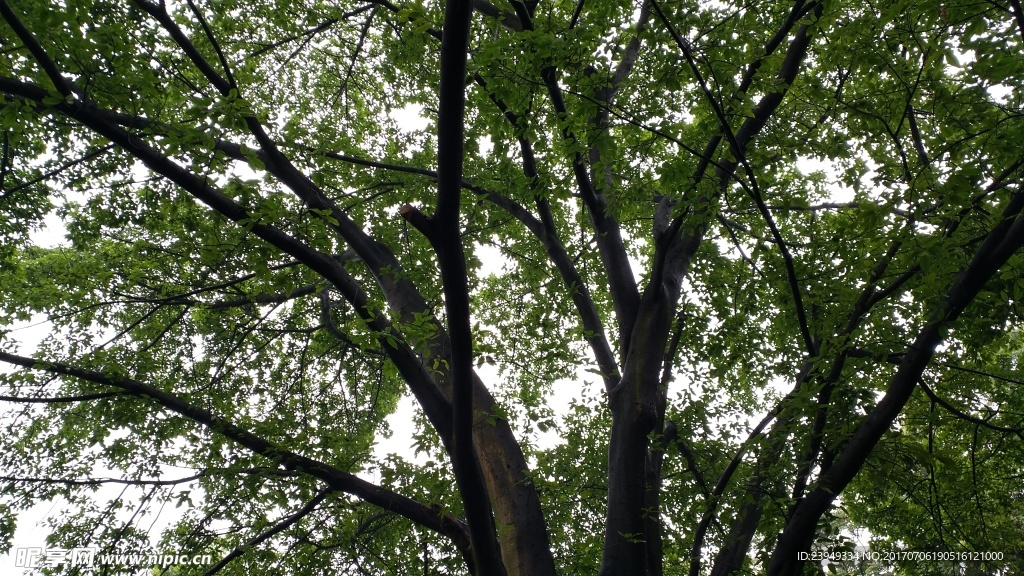 白公馆