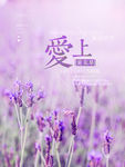 紫色唯美爱上薰衣草海报设计