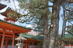 京都平安神宫