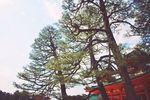 京都平安神宫