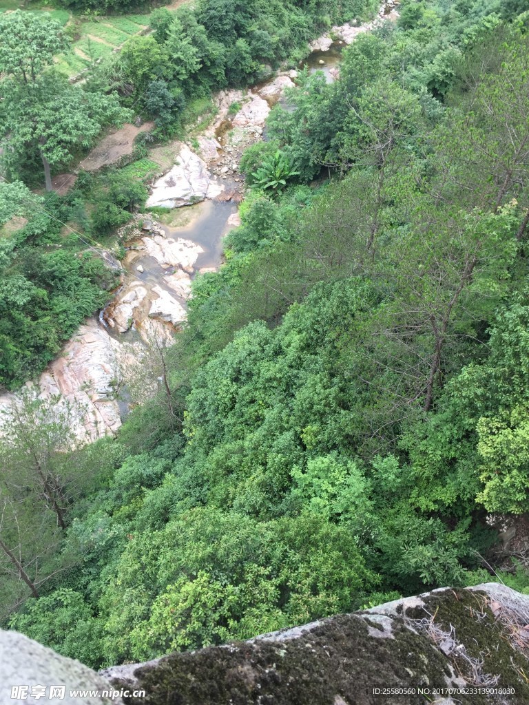 青山