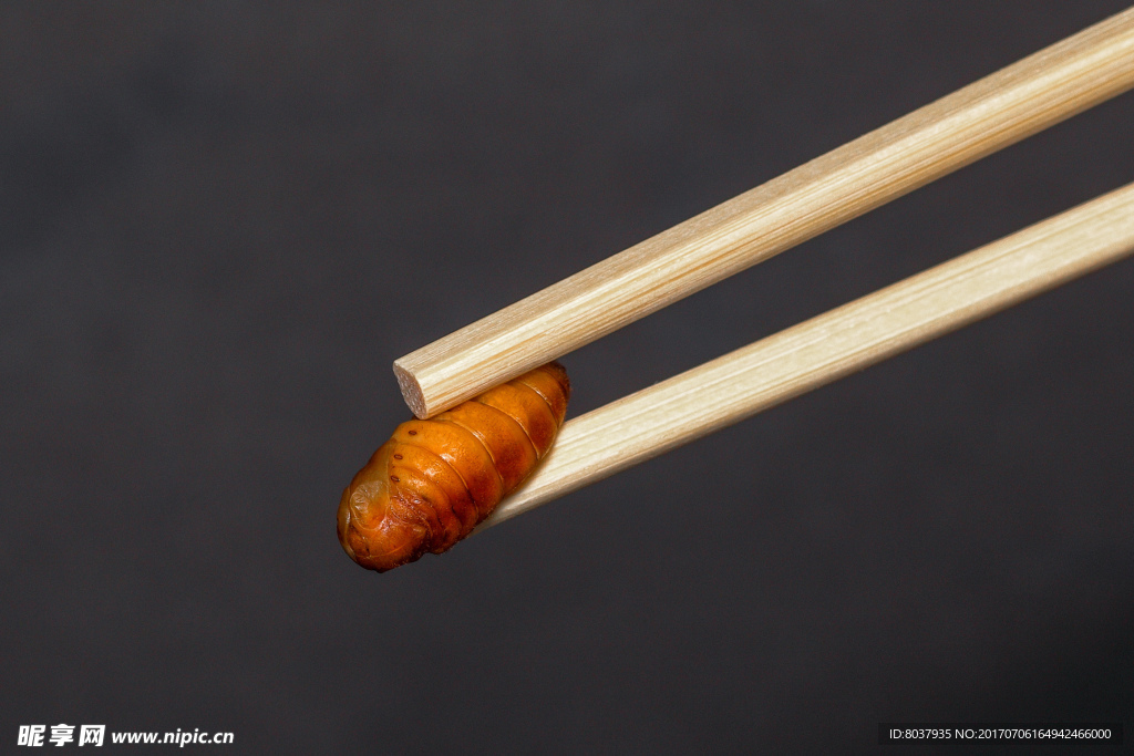 筷子夹着一只蚕蛹