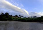 奥克兰海滨风景