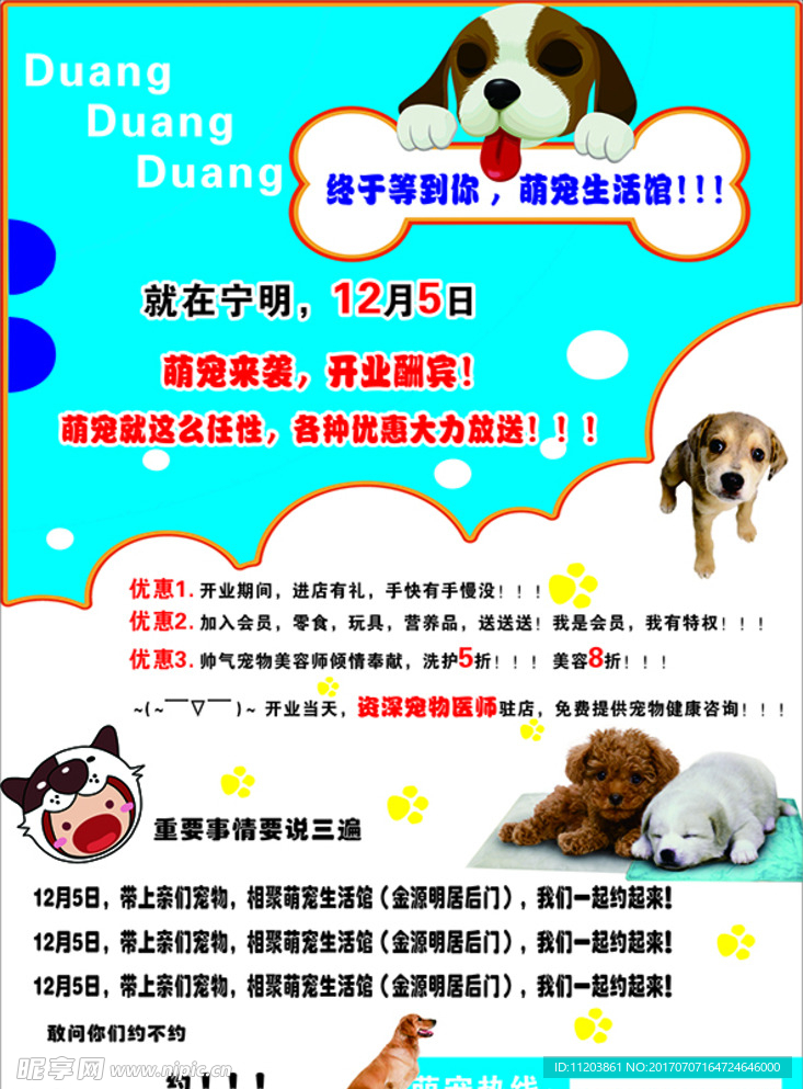 萌宠海报