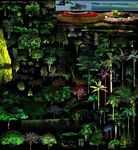 夜景植物园林素材
