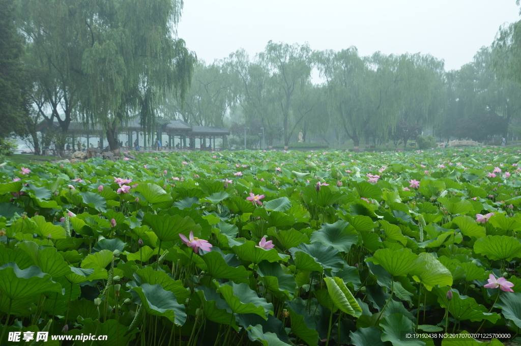 龙潭湖风景