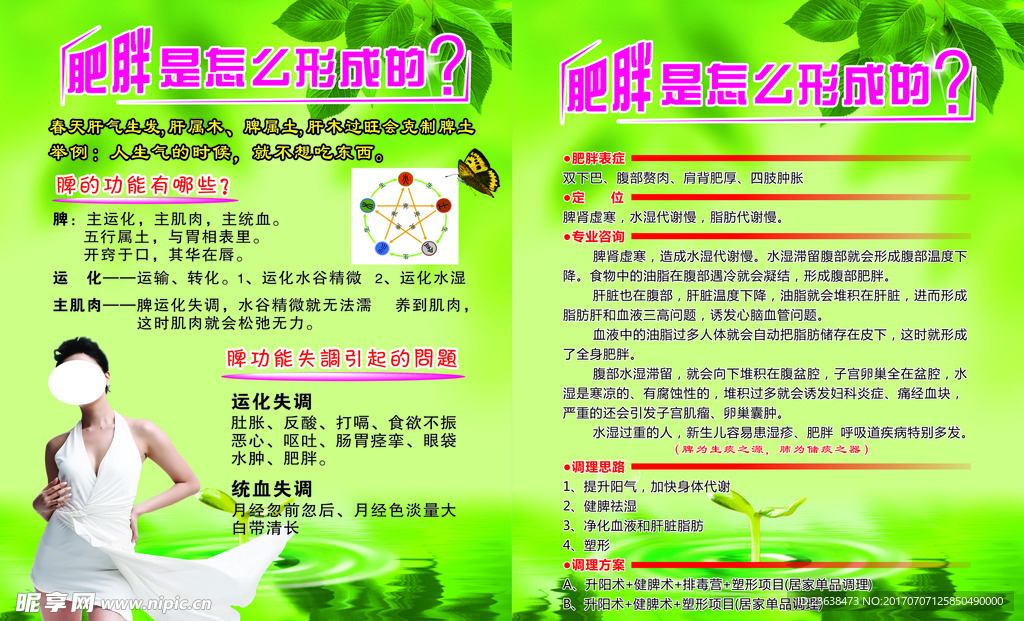 减肥宣传单图片