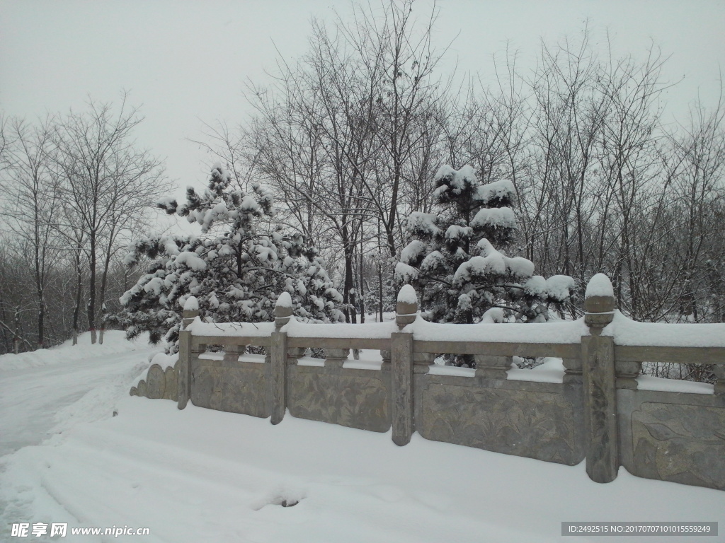雪景