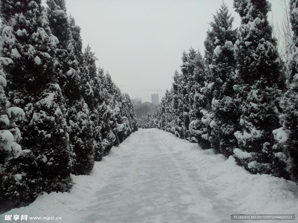 雪景