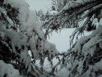 雪景