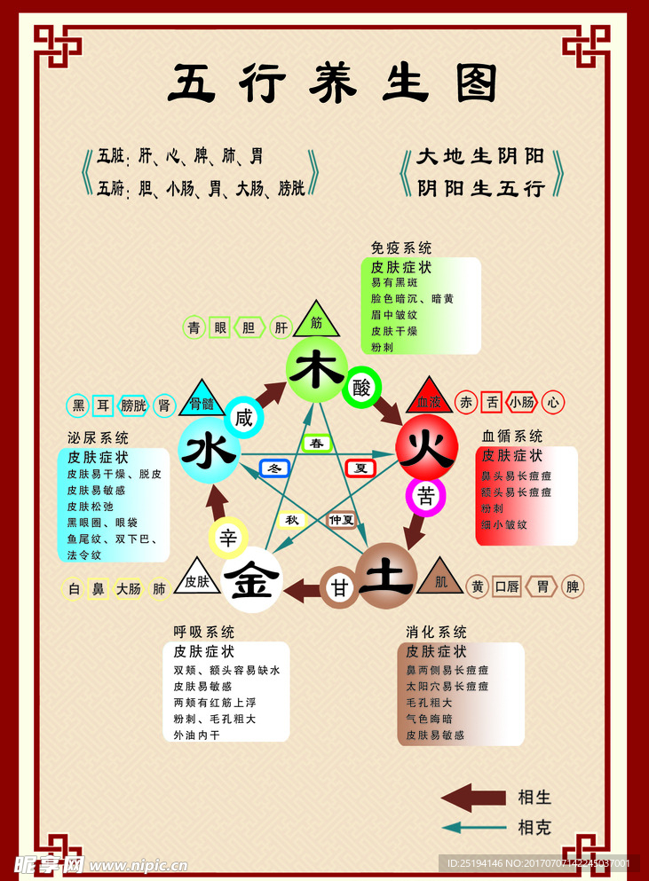 五行养生图