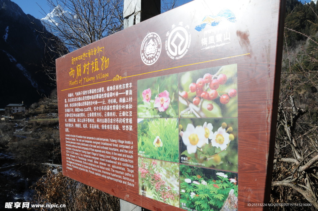 雨崩村指示牌