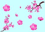 粉色桃花
