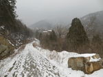 雪中远眺法王寺