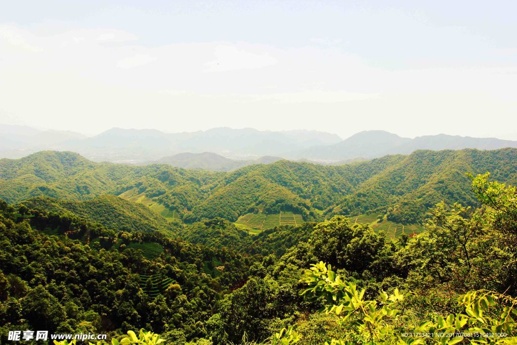 青山依旧