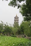 塔