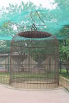 鸟笼