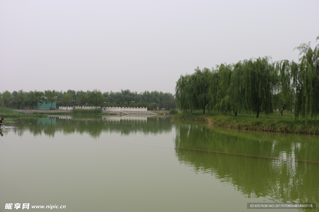 风景画面
