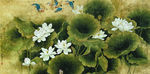 国画 油画 风景画 荷叶 鲤