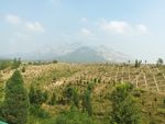盛夏时节的少室山