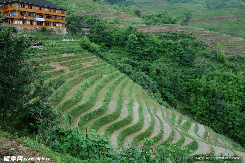 龙胜梯田